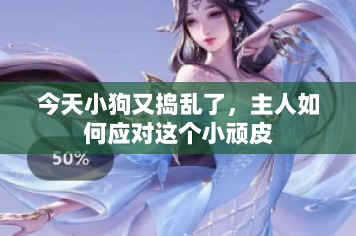今天小狗又捣乱了，主人如何应对这个小顽皮