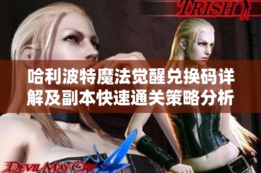 哈利波特魔法觉醒兑换码详解及副本快速通关策略分析