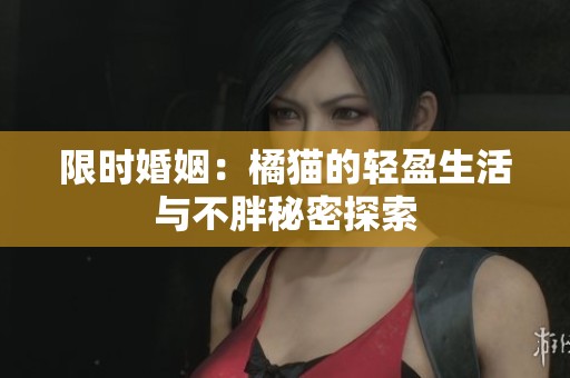 限时婚姻：橘猫的轻盈生活与不胖秘密探索