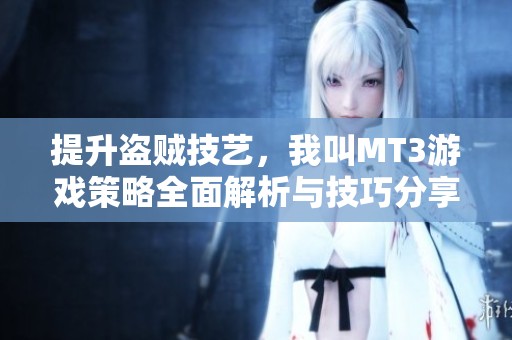 提升盗贼技艺，我叫MT3游戏策略全面解析与技巧分享