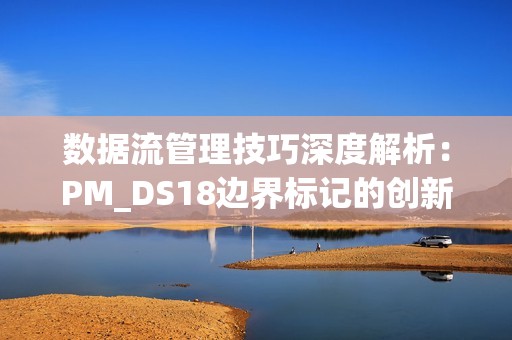 数据流管理技巧深度解析：PM_DS18边界标记的创新应用方法