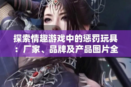 探索情趣游戏中的惩罚玩具：厂家、品牌及产品图片全面解析