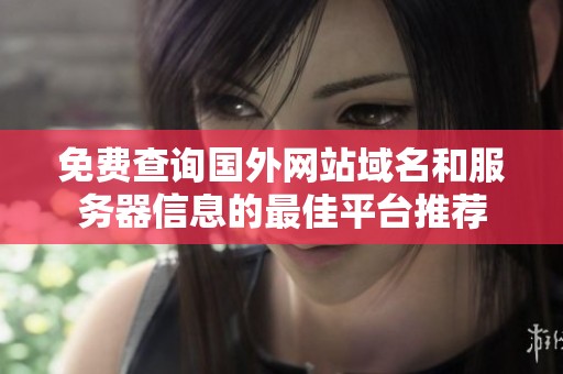 免费查询国外网站域名和服务器信息的最佳平台推荐
