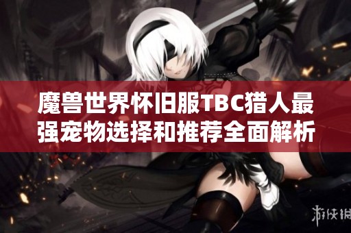 魔兽世界怀旧服TBC猎人最强宠物选择和推荐全面解析