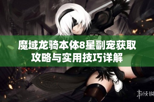 魔域龙骑本体8星副宠获取攻略与实用技巧详解