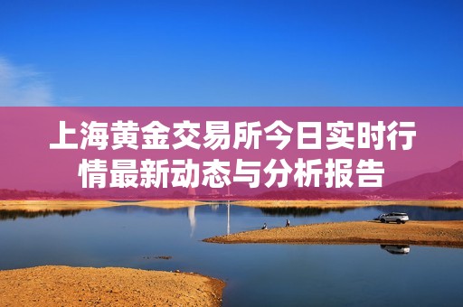 上海黄金交易所今日实时行情最新动态与分析报告