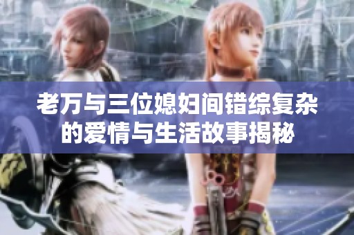 老万与三位媳妇间错综复杂的爱情与生活故事揭秘