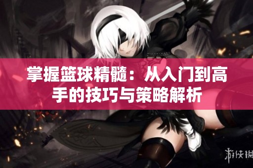 掌握篮球精髓：从入门到高手的技巧与策略解析