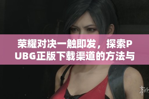 荣耀对决一触即发，探索PUBG正版下载渠道的方法与技巧