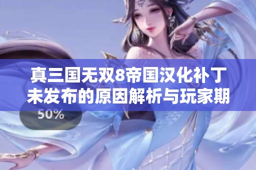 真三国无双8帝国汉化补丁未发布的原因解析与玩家期待