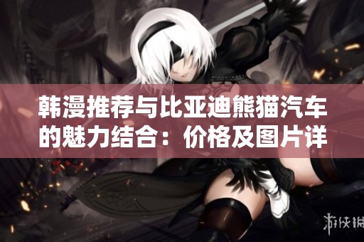 韩漫推荐与比亚迪熊猫汽车的魅力结合：价格及图片详解