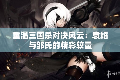 重温三国杀对决风云：袁绍与邹氏的精彩较量