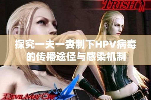 探究一夫一妻制下HPV病毒的传播途径与感染机制