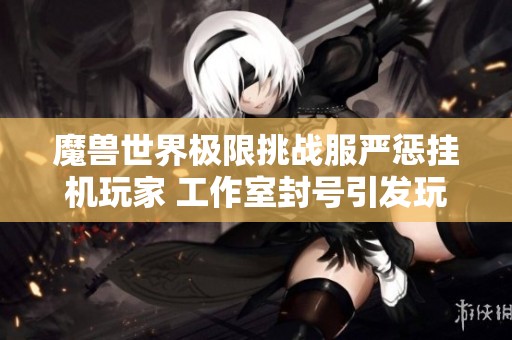 魔兽世界极限挑战服严惩挂机玩家 工作室封号引发玩家热议