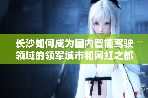长沙如何成为国内智能驾驶领域的领军城市和网红之都