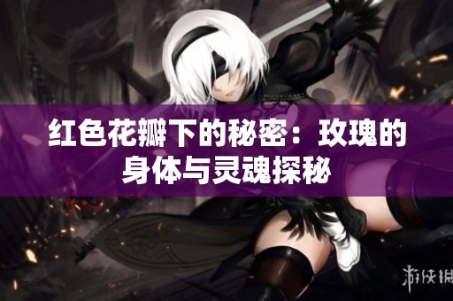 红色花瓣下的秘密：玫瑰的身体与灵魂探秘