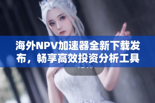 海外NPV加速器全新下载发布，畅享高效投资分析工具