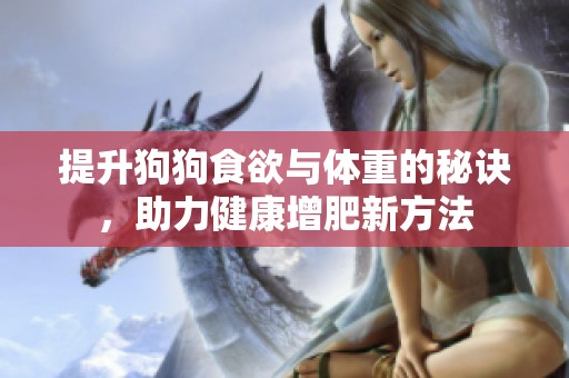 提升狗狗食欲与体重的秘诀，助力健康增肥新方法