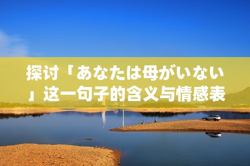 探讨「あなたは母がいない」这一句子的含义与情感表达