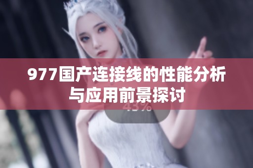 977国产连接线的性能分析与应用前景探讨