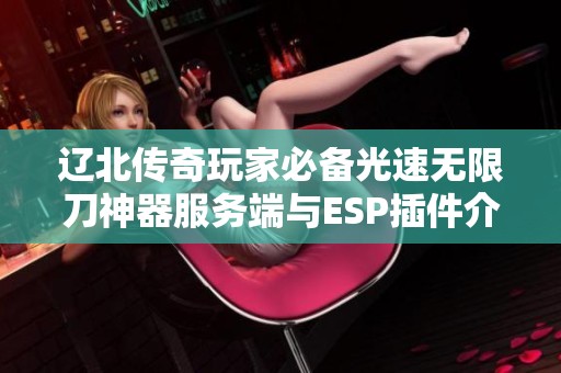 辽北传奇玩家必备光速无限刀神器服务端与ESP插件介绍