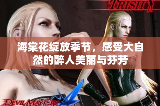 海棠花绽放季节，感受大自然的醉人美丽与芬芳