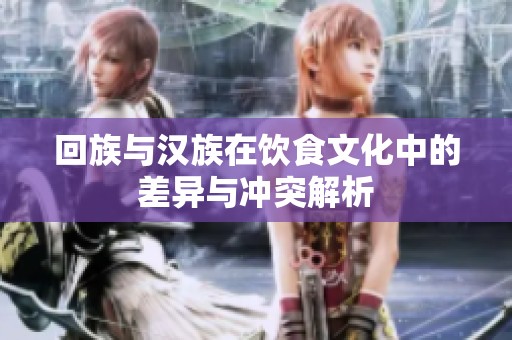 回族与汉族在饮食文化中的差异与冲突解析