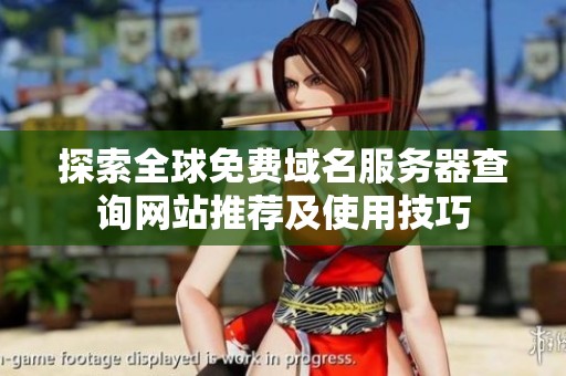 探索全球免费域名服务器查询网站推荐及使用技巧