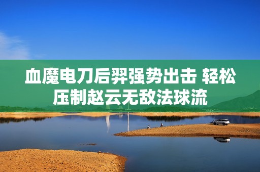 血魔电刀后羿强势出击 轻松压制赵云无敌法球流