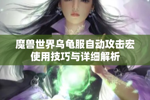 魔兽世界乌龟服自动攻击宏使用技巧与详细解析