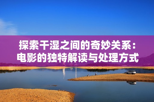 探索干湿之间的奇妙关系：电影的独特解读与处理方式