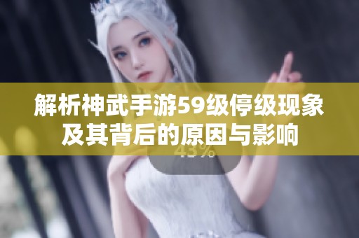 解析神武手游59级停级现象及其背后的原因与影响