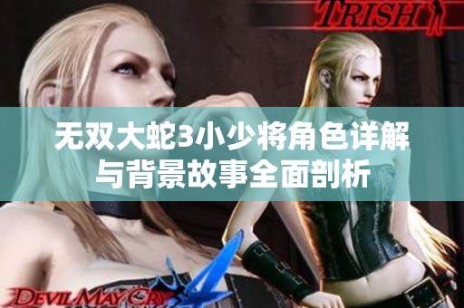 无双大蛇3小少将角色详解与背景故事全面剖析