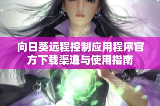 向日葵远程控制应用程序官方下载渠道与使用指南