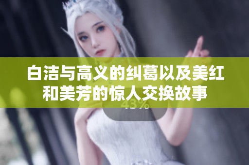 白洁与高义的纠葛以及美红和美芳的惊人交换故事