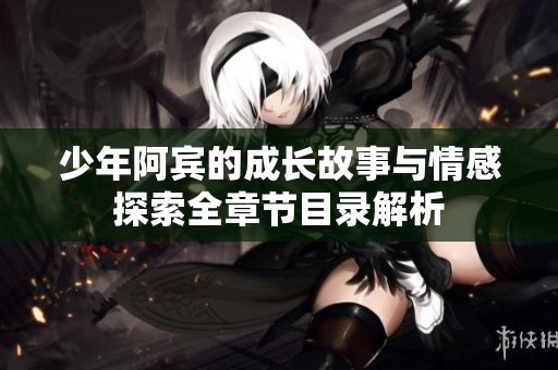 少年阿宾的成长故事与情感探索全章节目录解析