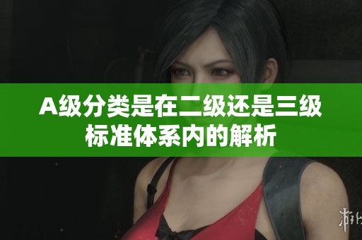 A级分类是在二级还是三级标准体系内的解析