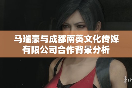 马瑞豪与成都南葵文化传媒有限公司合作背景分析