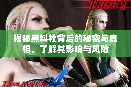 揭秘黑料社背后的秘密与真相，了解其影响与风险