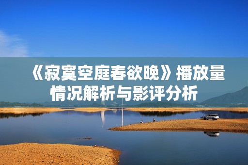 《寂寞空庭春欲晚》播放量情况解析与影评分析